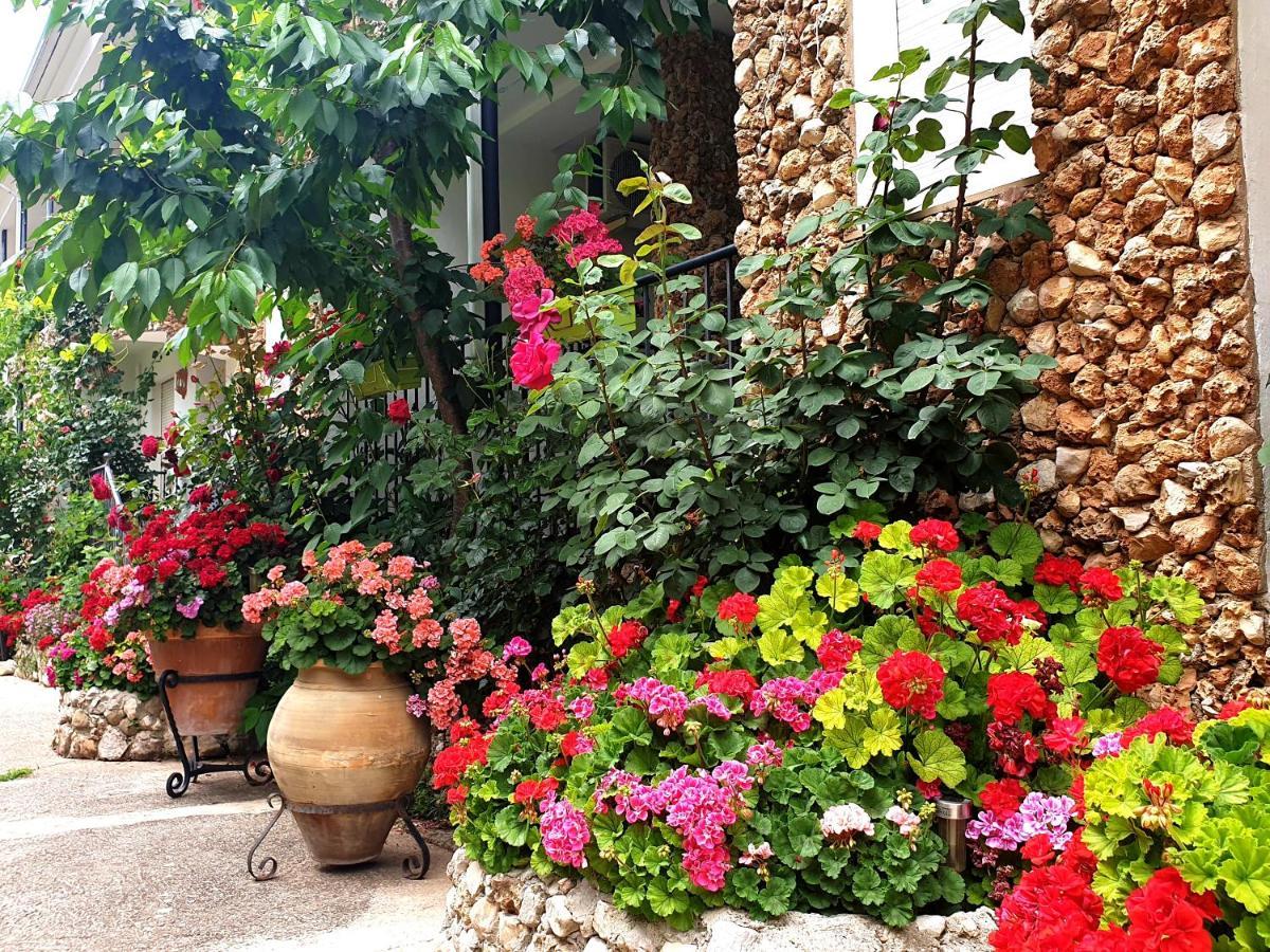 Apartment El Parral